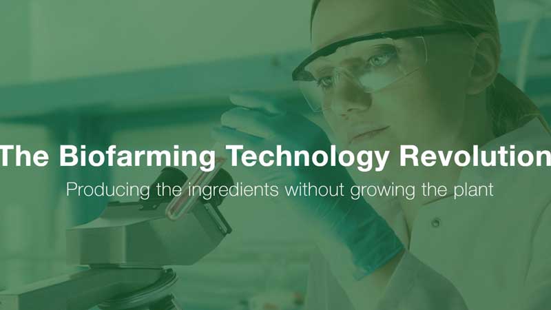 CannaVcell Plan To Produce Cannabis aActive Ingredients Without Growing the Plant Itself