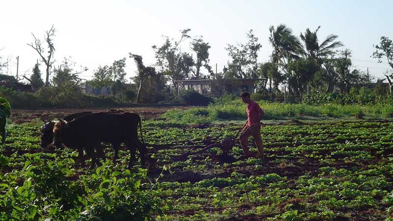 JOBS Government Of Canada Protects And Empowers Temporary Foreign Workers In Southwestern Ontario Through The Migrant Worker Support Program