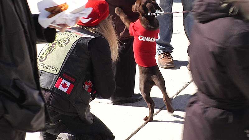 NewCa.com: Support Us