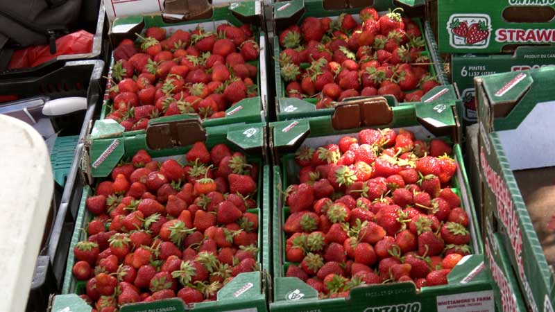 🥔🍅 Loblaw And Flashfood Helped Canadians Save Over $50 Million on Groceries in 2024, Delivering Value While Also Reducing Food Waste